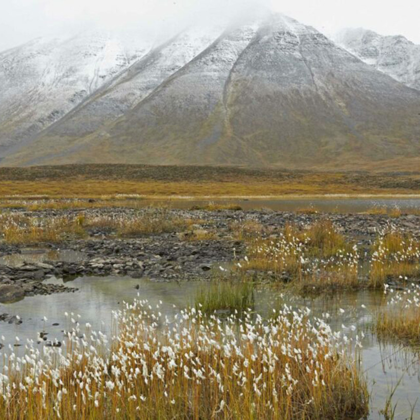 Learning from Alaska: Sustainability and the Conservation Movement, Part Two