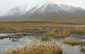 Learning from Alaska: Sustainability and the Conservation Movement, Part One