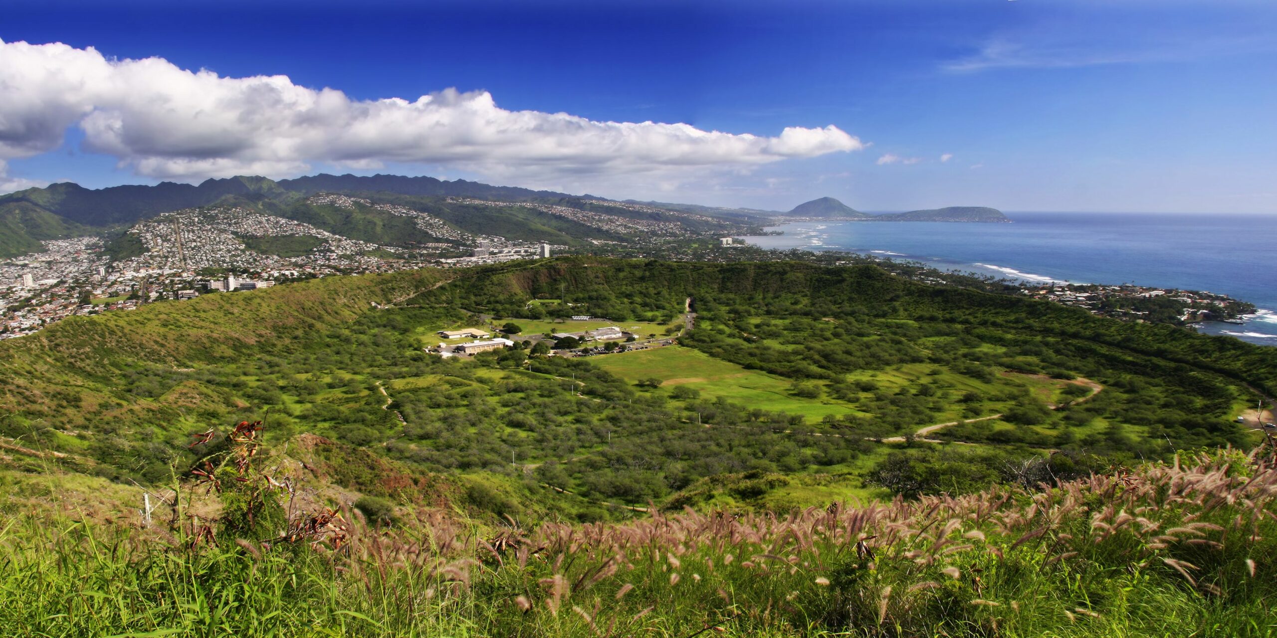 Hawai’i DOE Sustainability Advisor