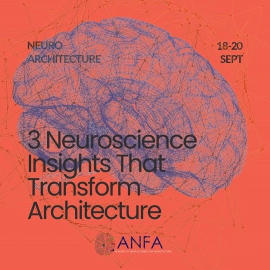Research in Motion: Notes from the 2025 ANFA Conference