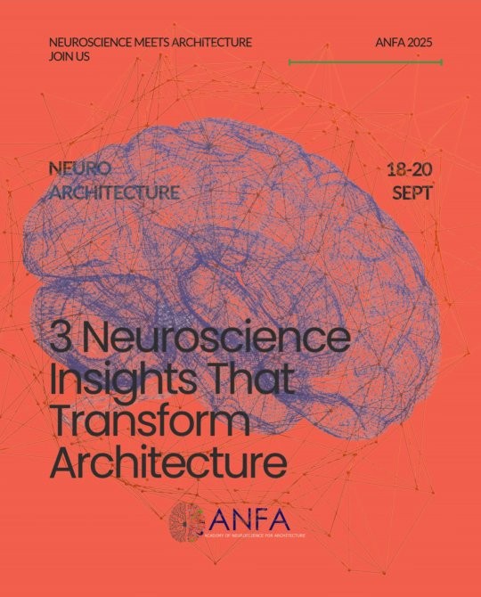 Research in Motion: Notes from the 2025 ANFA Conference