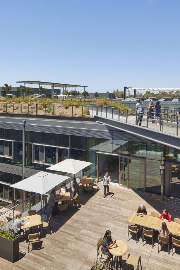 Silicon Valley Campus Earns Living Building Challenge Water, Beauty, and Equity Petals